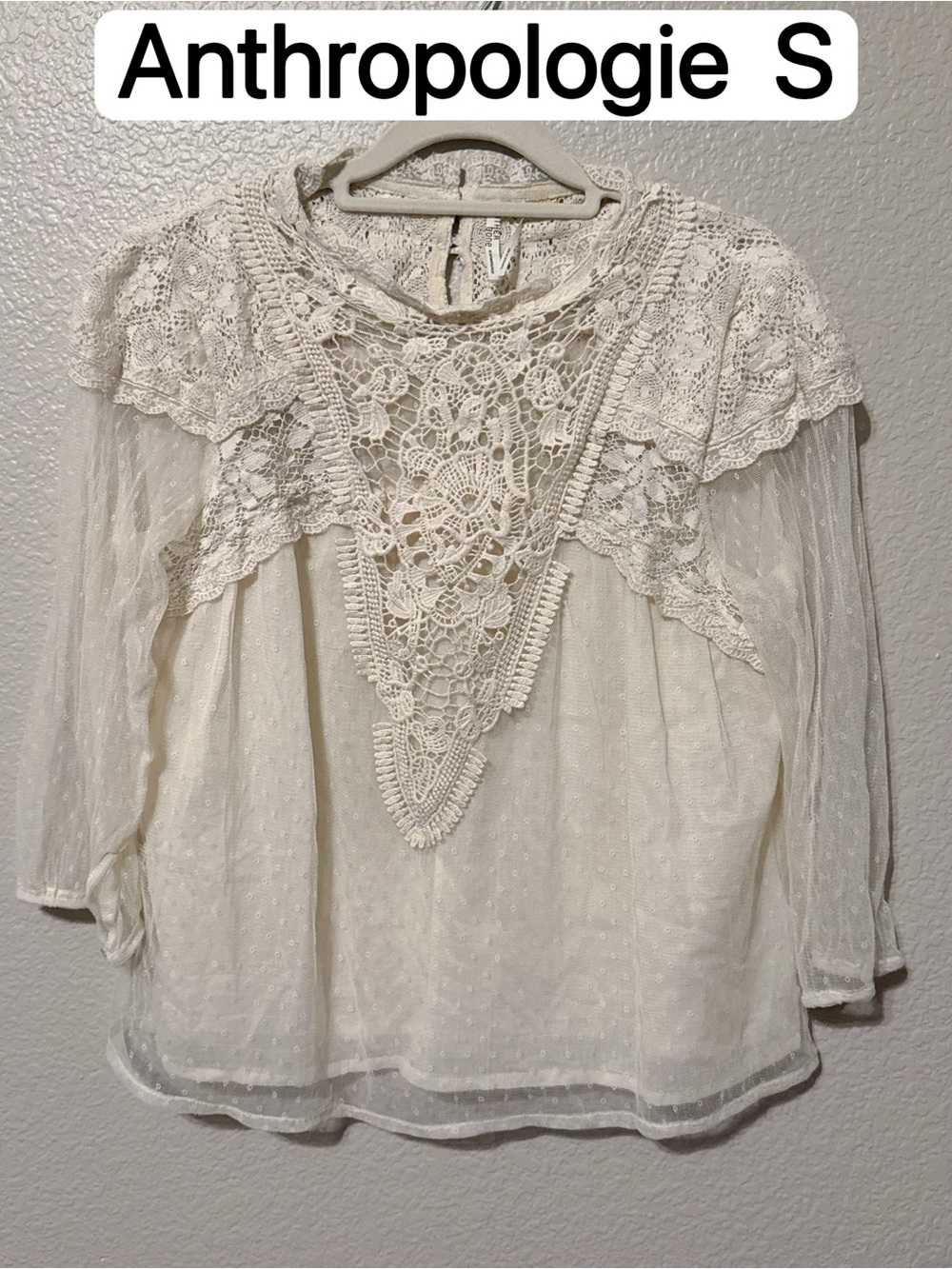 Anthropologie White Lace Detail Sheer Dot Blouse
